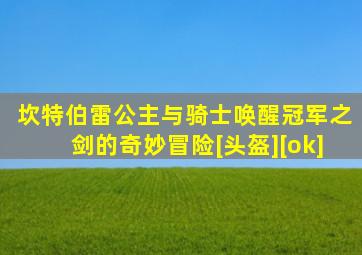 坎特伯雷公主与骑士唤醒冠军之剑的奇妙冒险[头盔][ok]